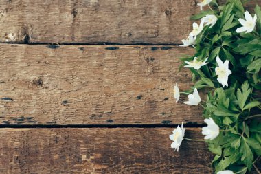 Spring flowers on rustic wooden background, flat lay. Wood anemone flowers border, simple countryside banner. Space for text. Hello spring