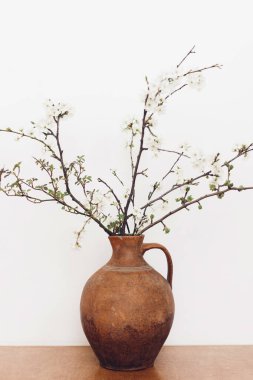 Blooming cherry branches on wooden table against white wall. Spring flowers in vintage vase still life. Simple countryside living, home rustic decor. Space for text