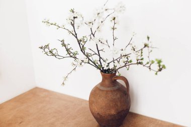 Blooming cherry branches on wooden table against white wall. Spring flowers in vintage vase still life. Simple countryside living, home rustic decor. Space for text