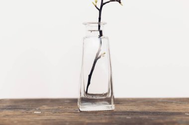 Spring flowers in glass vase still life. Blooming cherry branch closeup on rustic wooden background against white wall. Simple countryside living, home decor. Space for text