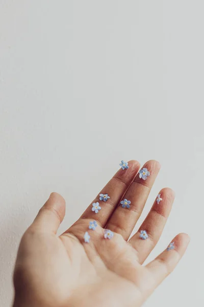 Hello spring. Simple aesthetic image. Cute little blue flowers on hand and fingers against white wall. Delicate forget me not petals on palm.  Skin care and organic cosmetics concept