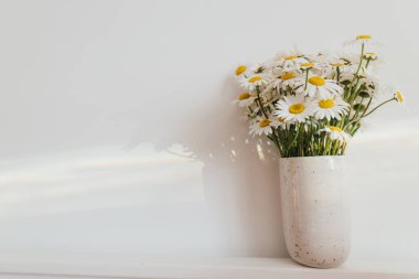 Beautiful daisy flowers in sun ray on white background. Summer vibes, simple home decor. Daisy bouquet in modern ceramic vase in boho room. Summer wallpaper, copy space