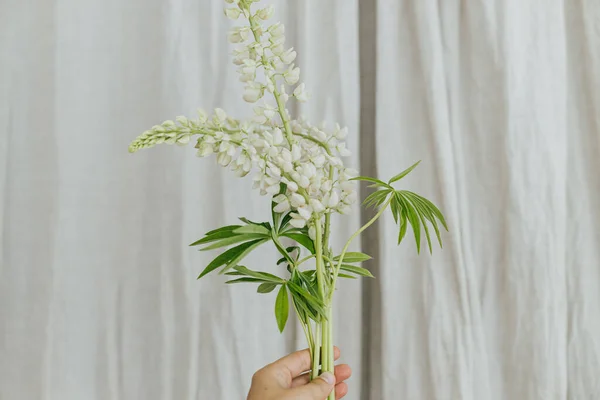 Hand Holding White Lupine Rustic Background Gathering Arranging Summer Wildflowers — Stockfoto