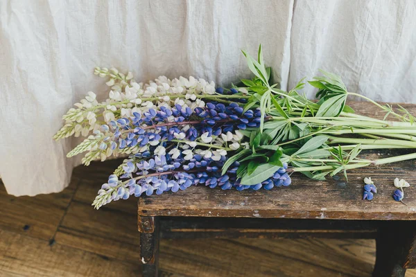 Beautiful Lupine Flowers Rustic Room Close Summer Vibes Simple Home — Stock fotografie