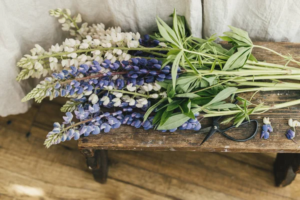 Beautiful Lupine Flowers Rustic Room Close Summer Vibes Simple Home — Stockfoto
