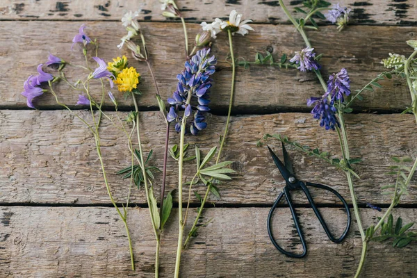 Beautiful Wildflowers Scissors Flat Lay Rustic Wooden Background Gathering Arranging — Stockfoto