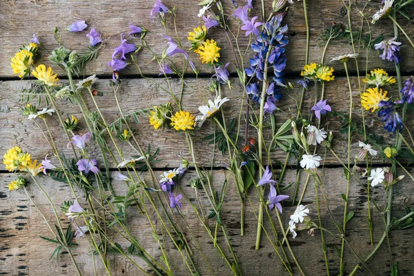 Beautiful Wildflowers Flat Lay Rustic Wooden Background Gathering Arranging Flowers — Stock fotografie