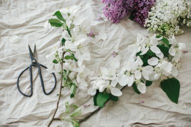 Güzel leylak çiçekleri, elma çiçekleri, keten kumaşın üzerinde makas ve taç yaprakları. Kırsal alanda bahar çiçekleri hala hayat dolu. Anneler günün kutlu olsun.