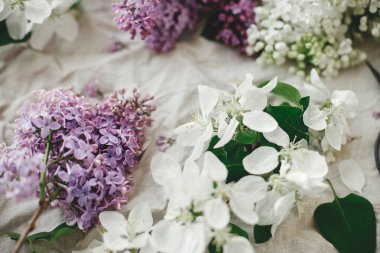 Güzel leylak çiçekleri, elma çiçekleri ve keten kumaşta taç yaprakları. Kırsal alanda bahar çiçekleri hala hayat dolu. Taç yaprakları kapanıyor. Anneler günün kutlu olsun.