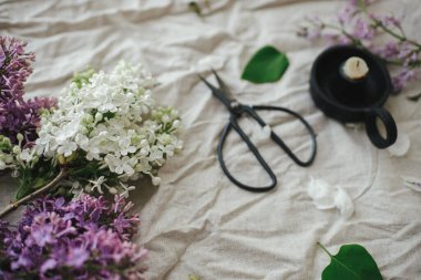 Güzel leylak çiçekleri, makas, mum ve keten kumaş kompozisyonu üzerine taç yaprakları. Kırsal alanda bahar çiçekleri hala hayat dolu. Anneler günün kutlu olsun.