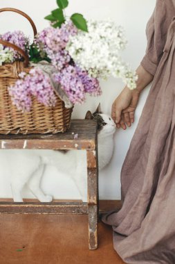 Hasır sepetteki güzel leylak çiçeklerine yavru kediyi okşayan bir kadın. Evdeki leylakların arka planında sahibinin elleriyle oynayan sevimli meraklı kedi.