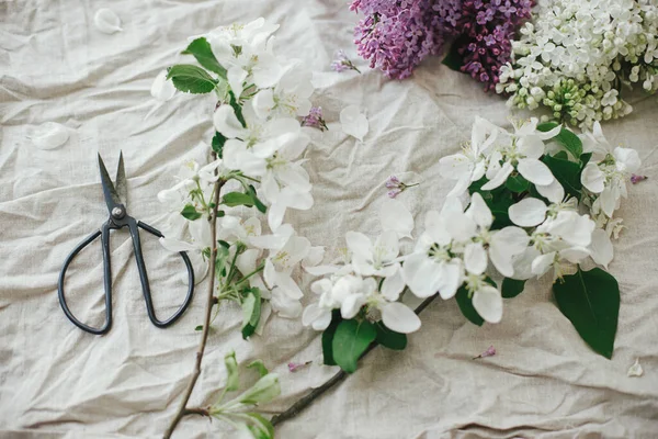 Güzel leylak çiçekleri, elma çiçekleri, keten kumaşın üzerinde makas ve taç yaprakları. Kırsal alanda bahar çiçekleri hala hayat dolu. Anneler günün kutlu olsun.