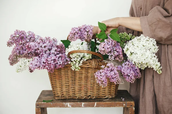 Mãos Mulher Elegantes Segurando Belas Flores Lilás Cesta Vime Quarto — Fotografia de Stock