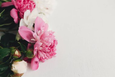 Beautiful peonies on rustic white wood, space for text. Stylish floral greeting card template. Fresh pink and white peony flowers border on wooden background, moody banner