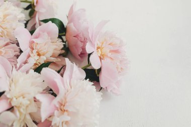 Beautiful peonies  on rustic white wood. Stylish floral greeting card with space for text. Gentle pastel pink peony flowers border on white table, moody banner