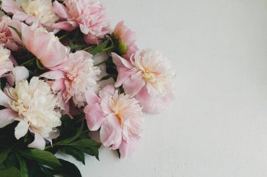 Güzel şakayıklar kırsal beyaz odunların üzerinde yatar. Stil çiçekli tebrik kartı, mesaj için yer var. Nazik pastel pembe şakayık çiçekleri beyaz masada düzenle, karamsar afiş