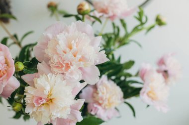 Beautiful peonies bouquet in soft light, petals close up. Stylish floral image. Fresh tender pink peony flowers arrangement on rustic background