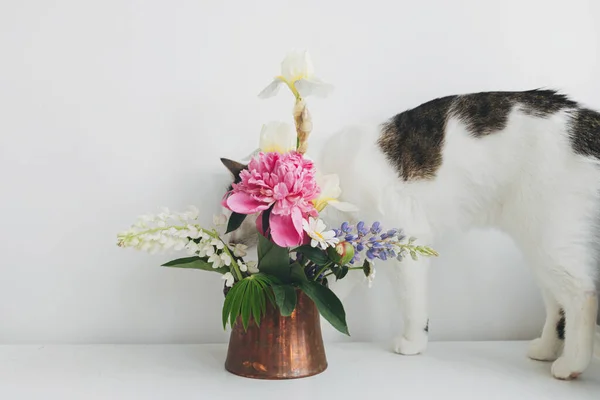 可爱的猫在白桌子上的古董花瓶里闻到夏天花朵的芬芳 家居装饰和宠物 好奇的猫咪在乡村桌上摆弄时髦的牡丹 羽扇豆 蝴蝶花和雏菊 — 图库照片