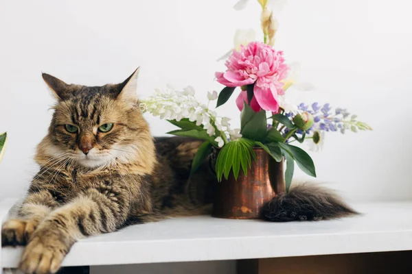 Söt Katt Sitter Sommaren Blommor Bukett Vintage Vas Vitt Bord — Stockfoto