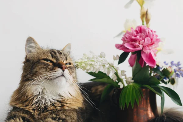 Roztomilá Kočka Sedí Létě Kytice Bílém Stole Domácí Dekorace Domácí — Stock fotografie