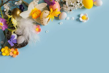 Mutlu Paskalyalar! Yuvada paskalya yumurtaları, renkli çiçekler ve çiçek açan kiraz yaprakları mavi arka planda yatıyordu. Metin için alanı olan şık şablon. Tebrik kartı ya da afiş