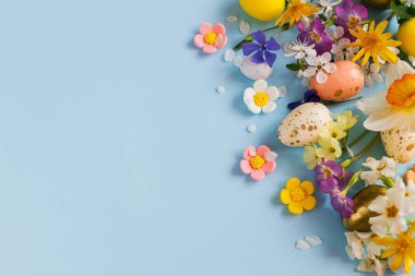 Mutlu Paskalyalar! Paskalya yumurtaları, renkli çiçekler ve çiçek açan kiraz yaprakları mavi arka planda yatıyordu. Metin için alanı olan şık şablon. Tebrik kartı ya da afiş