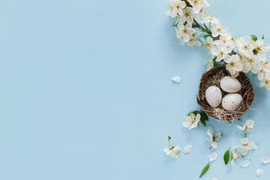 Yuvada şık Paskalya yumurtaları ve mavi arka planda düz kiraz çiçekleri ve fotokopi alanı. Mutlu Paskalyalar! Tebrik kartı şablonu. Modern bayram afişi. Kutlama için en düşük bileşim