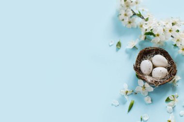 Yuvada şık Paskalya yumurtaları ve mavi arka planda düz kiraz çiçekleri ve fotokopi alanı. Mutlu Paskalyalar! Tebrik kartı şablonu. Modern bayram afişi. Kutlama için en düşük bileşim