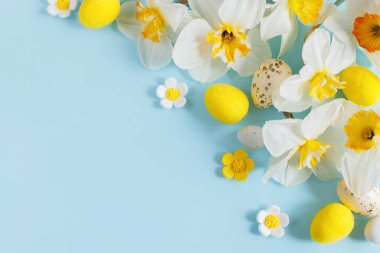 Mutlu Paskalyalar! Paskalya yumurtaları ve sarı nergis çiçekleri mavi arka planda yatıyordu. Metin için alanı olan şık şablon. Tebrik kartı ya da afiş