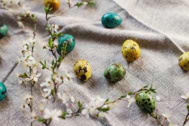 Stylish easter eggs and blooming cherry flowers on rustic table. Happy Easter! Rustic easter still life. Natural painted quail eggs and cherry blossoms on linen fabric