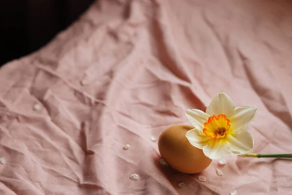 Natürliche Eier Und Blühende Narzissenblüten Auf Rosa Stoff Hintergrund Frohe — Stockfoto