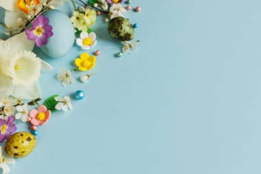 Happy Easter! Easter flat lay with stylish eggs and blooming spring flowers on blue background, space for text. Modern greeting card or banner. Natural painted colorful eggs and blossom
