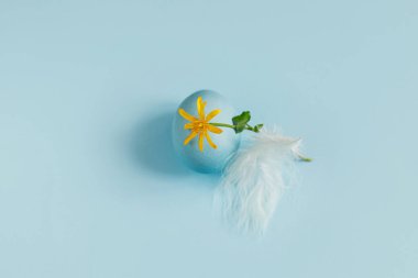 Stylish easter egg and spring flower on blue background flat lay. Minimal Easter still life. Modern greeting card or banner, copy space. Happy Easter! Blue egg, feather and yellow bloom