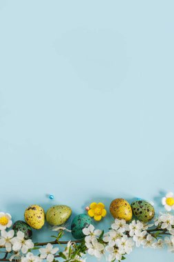 Stylish easter eggs and blooming flowers on blue background flat lay. Happy Easter! Natural painted colorful quail eggs and cherry blossom. Modern greeting card or banner, copy space