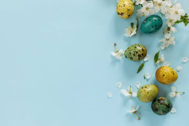 Happy Easter! Easter stylish eggs and blooming spring flowers on blue background, space for text. Modern greeting card or banner. Natural painted colorful quail eggs and cherry blossom