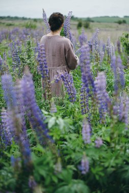 Kırsal elbiseli şık bir kadın lupin çayırlarında yürüyor, atmosferik görüntü. Keten elbiseli genç bir kadın yaz kırsalında çiçek topluyor, kırsal kesimde sakin bir hayat. Cottagecore estetiği
