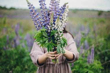 Close up of woman in rustic dress holding lupine bouquet in meadow. Cottagecore aesthetics. Young female in linen dress holding wildflowers in atmospheric summer countryside, rural slow life