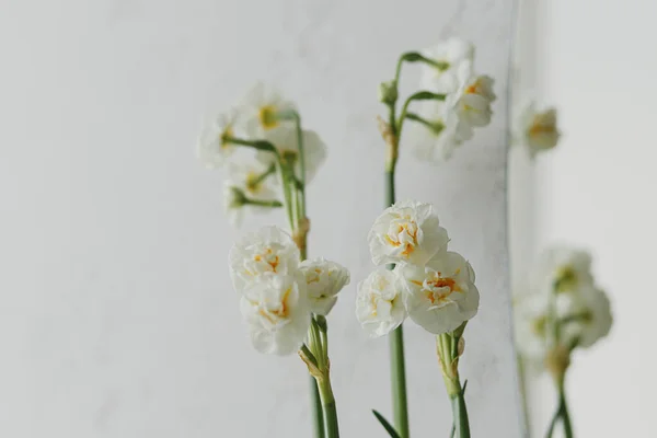 ブライダルDaffodilsを閉じます 素朴な壁と現代の鏡を背景に成長する美しい水仙 スタイリッシュな花の家の装飾 春の花 — ストック写真