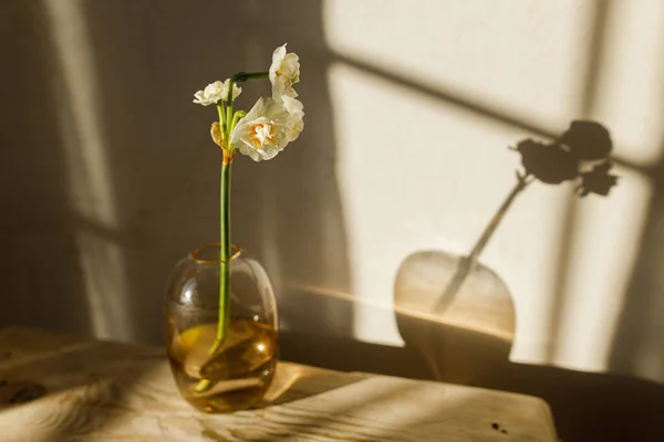 Schöne Narzissen Der Vase Auf Einer Rustikalen Holzbank Vor Dem — Stockfoto