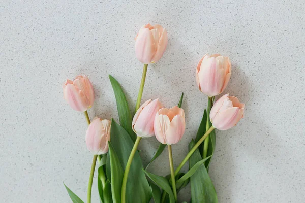 Piękne Tulipany Nowoczesnym Stole Stylowy Kwiatowy Płaski Leżał Przestrzenią Kopiowania — Zdjęcie stockowe