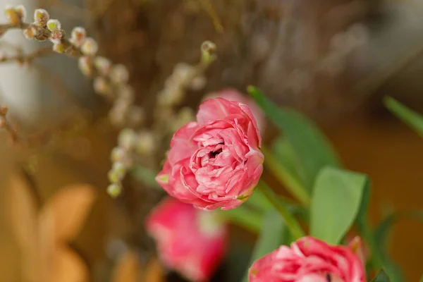 Стильні Тюльпани Гілки Верби Букет Фоні Великоднього Декору Дерев Яному — стокове фото