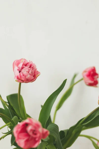 Elegante Bellissimo Bouquet Tulipani Rosa Sfondo Rustico Parete Bianca Sistemazione — Foto Stock