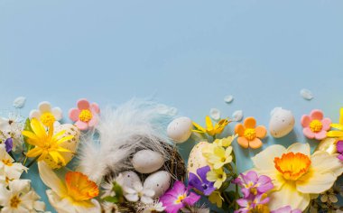 Mutlu Paskalyalar! Yuvada paskalya yumurtaları, renkli çiçekler ve çiçek açan kiraz yaprakları mavi arka planda yatıyordu. Metin için alanı olan şık şablon. Tebrik kartı ya da afiş