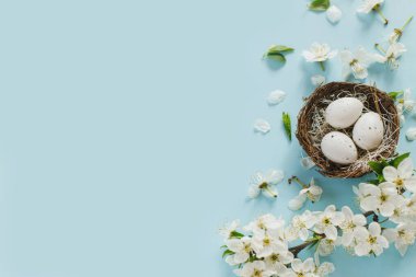 Mutlu Paskalyalar! Yuvadaki Paskalya yumurtaları ve çiçek açan kiraz yaprakları mavi arka planda yatıyordu. Metin için alanı olan şık şablon. Tebrik kartı ya da afiş
