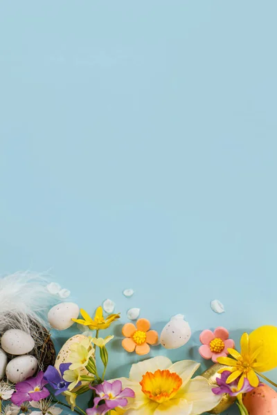 Happy Easter Easter Eggs Nest Colorful Flowers Blooming Cherry Petals — 스톡 사진