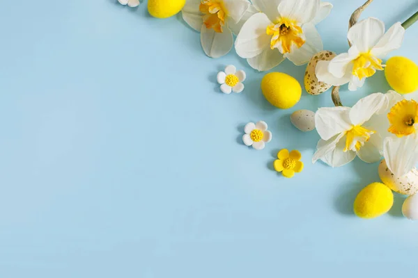 Stylowe Pisanki Żółte Żonkile Kwiaty Płaskie Leżały Niebieskim Tle Miejsca — Zdjęcie stockowe