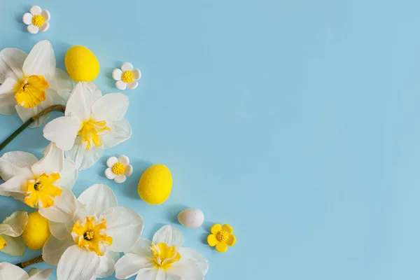艳丽的复活节彩蛋和黄色的水仙花平铺在蓝色的背景上 有复制的空间 复活节快乐 问候卡片模板 现代假日横幅 节庆作文 — 图库照片