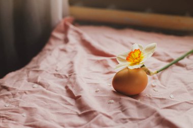 Natural egg and blooming daffodil flower on pink fabric background. Happy Easter! Rustic easter still life. Space for text