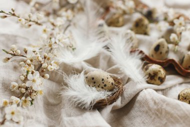Happy Easter! Stylish easter eggs and blooming spring flowers on rustic table. Natural quail eggs in tray, feathers and cherry blossoms linen fabric. Rustic easter still life