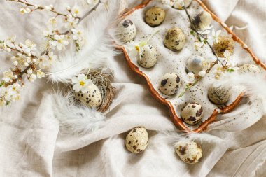 Stylish easter eggs and blooming spring flowers on linen fabric. Happy Easter! Natural quail eggs in tray, feathers and cherry blossoms on rural table. Rustic easter still life